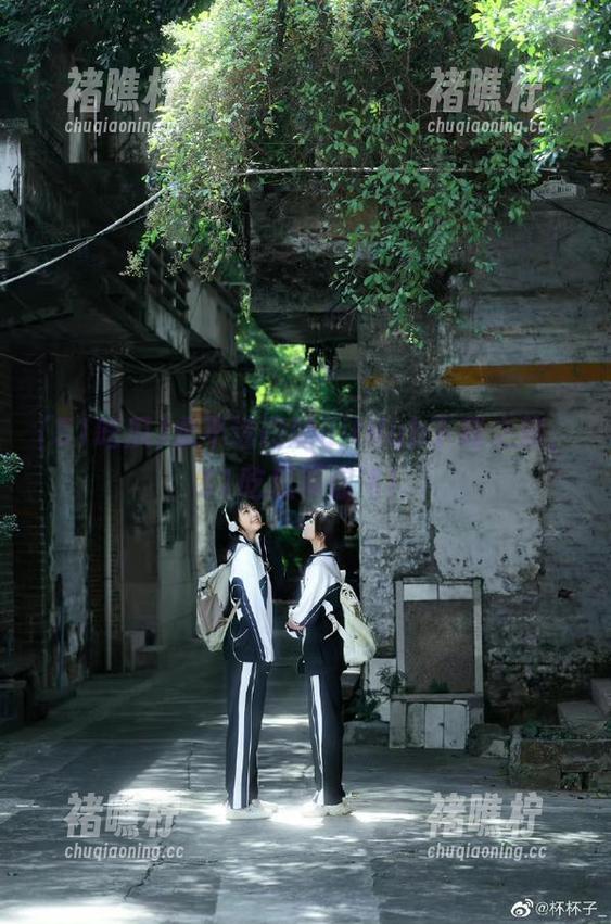 永不迷路的GitHub下载之旅，51吃瓜带你飞！
