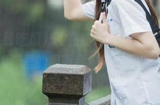 51在线吃瓜，潜伏在资源海洋里的趣事我们能聊聊吗？