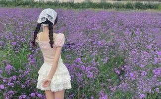 听说有个神奇地址在718sx上，直戳我心，佩服佩服！