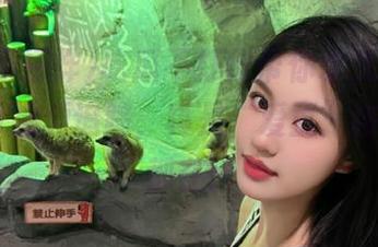 吃瓜不打烊带你永久畅游，24小时视频追踪，真是“爱豆”该有的全都在！
