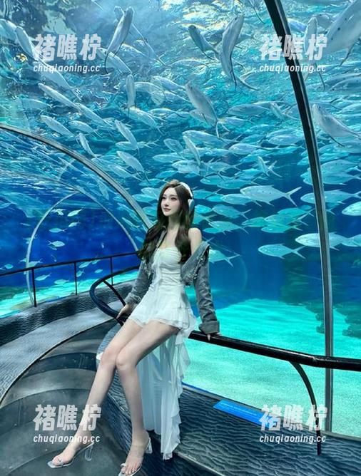 泡泡吃瓜网的链接，挑战我智商的打开方式