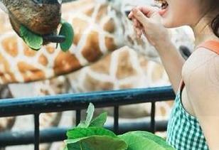 吃瓜网今天发布了个超级大瓜，让我们边看边拐弯脑洞大开！