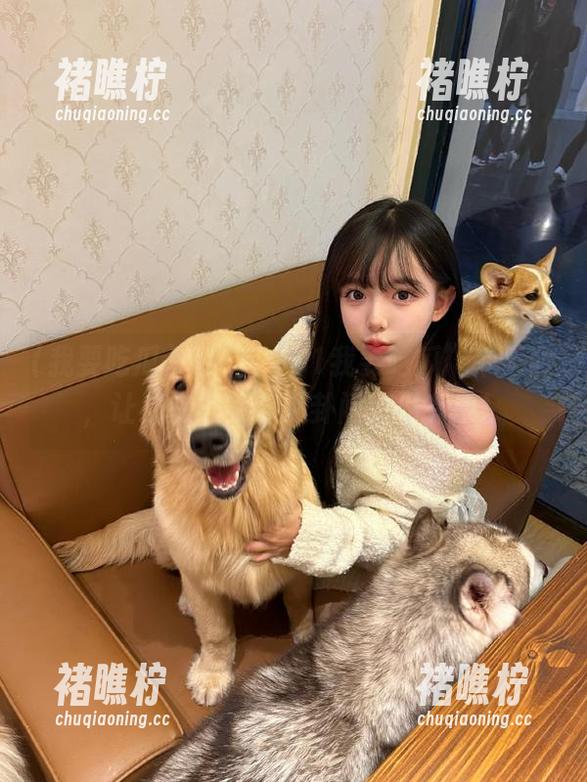 幸好有“51我要吃瓜”苹果版，让我在干饭与八卦间游刃有余！