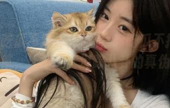 最新黑料吃瓜不打烊导航，让你一键追踪八卦的真伪