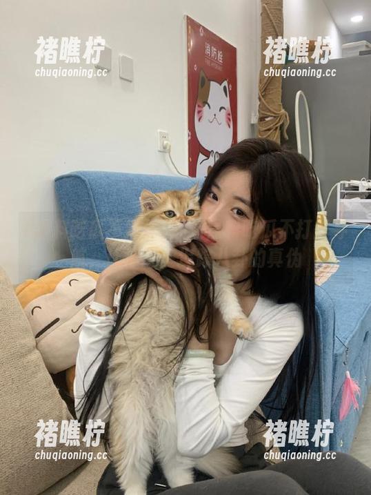 黑料吃瓜不打烊 最新黑料吃瓜不打烊导航,让你一键追踪八卦的真伪