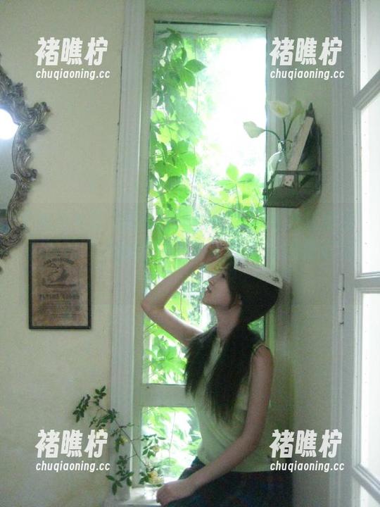 黑料社区的首页居然让我停滞在这片“八卦沙漠”，比我想象的更好玩！