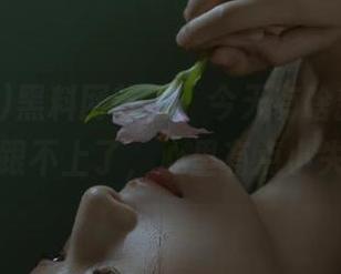 黑料网首页，今天有啥新鲜事？我快跟不上了，心里有点小失落。