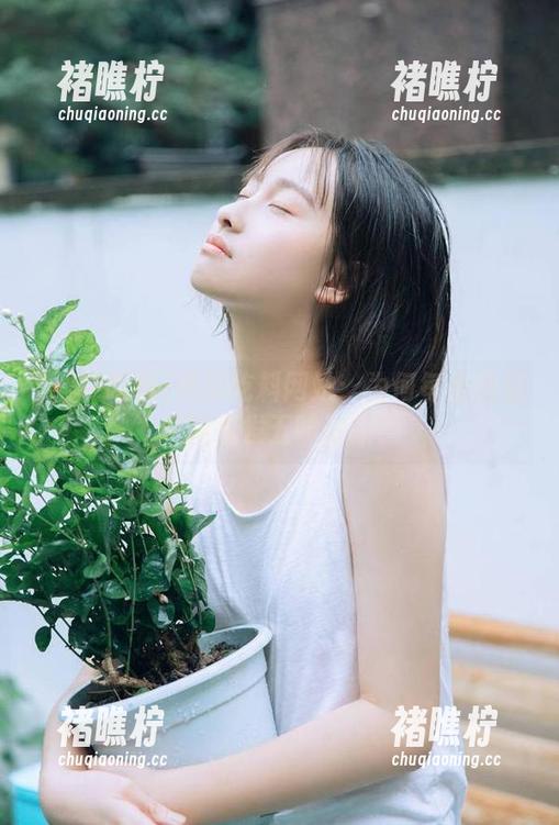 黑瓜吃料 黑瓜吃料网站:为何每条消息都能引发五味杂陈?